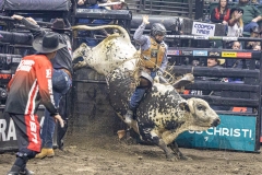 A-pbr-friday-1021-Andy-on-Fireball-Round-1