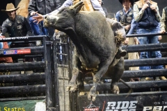 B-pbr-friday-1385-Andy-on-Smoke-Show-Round-2