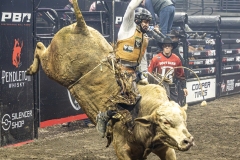 C-pbr-Saturday-075-Andy-on-Old-Yeller-Round-1