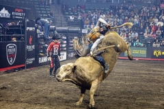CC-pbr-Saturday-086-Andy-on-Old-Yeller-Round-1