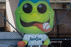 Aquasox-BP-007
