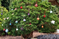 yarn-bomb-013