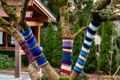 yarn-bomb-016