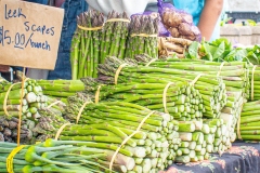 Farmers-Open-237
