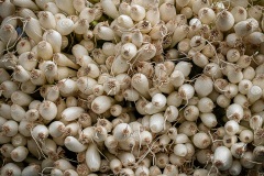 Farmers-Market-May-11-28-Enhanced-SR-2