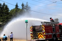 Everett-Fire-Wiggums-Sprinkler-A