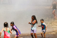 Everett-Fire-Wiggums-Sprinkler-D