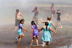 Everett-Fire-Wiggums-Sprinkler-DD