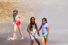 Everett-Fire-Wiggums-Sprinkler-E