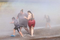 Everett-Fire-Wiggums-Sprinkler-EE