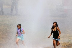 Everett-Fire-Wiggums-Sprinkler-EEE