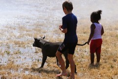 Everett-Fire-Wiggums-Sprinkler-FF