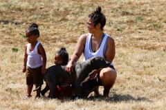 Everett-Fire-Wiggums-Sprinkler-HH