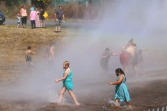 Everett-Fire-Wiggums-Sprinkler-II