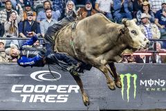 pbr2-1510-1