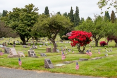 Evergreen-Cemetery-03