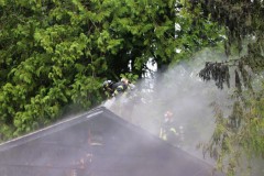 Fire-at-Forest-Park-E