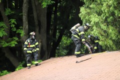 Fire-at-Forest-Park-J