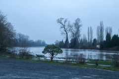 Snohomish River Everett Washington