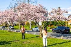 Cherry-Blossoms-Grand-Park-Sat-Mar-29-088