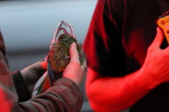 Fire-40th-and-High-Street-048