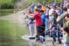 Silver-Lake-fish-2