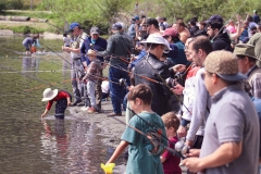 Silver-Lake-fish-5