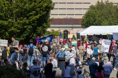 protests-and-fashion-063