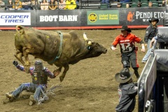 bulls-899-Enhanced-NR