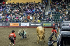 bulls-992-Enhanced-NR