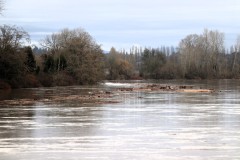 Sno-River-Tue-D