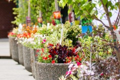 sorticulture-030
