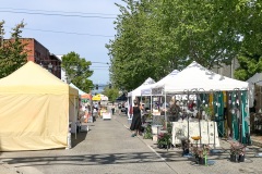 Sorticulture-Day-1-023