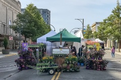 Sorticulture-Day-1-027