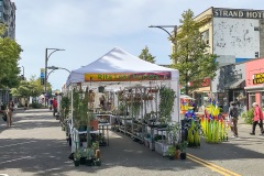 Sorticulture-Day-1-031