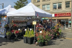 Sorticulture-Day-1-034