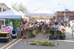 Sorticulture-Day-1-045