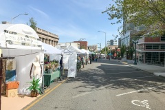 Sorticulture-Day-1-054