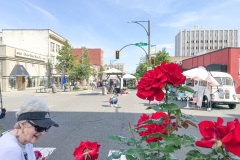 Sorticulture-Day-1-061