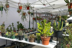 Sorticulture-Day-1-074