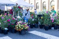 EFM-and-Sorticulture-06-08-2025-055