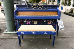 Moonlight-Garden-Jam