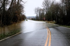 Flooding-I