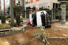 Library-crash-C