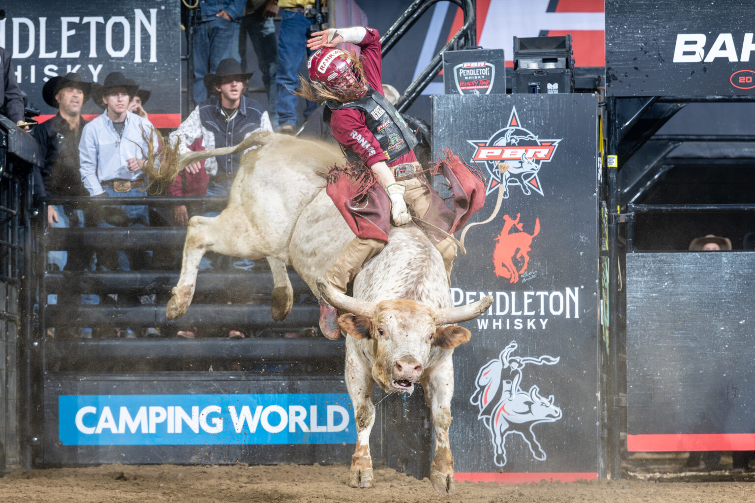 Wikend Bull Top Bulls & Bull Riders In Everett For Valentine’s Weekend – Seen In ...